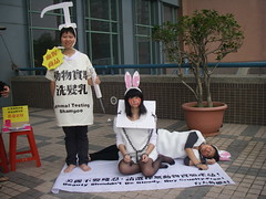 台大學生也在校園呼籲不要實驗動物的美妝品（吳孟純攝）