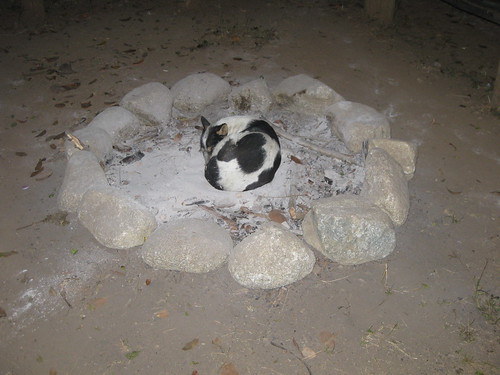 Sleeping at the cooled down fire pit