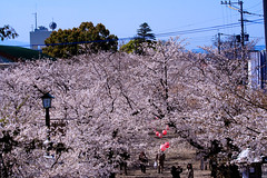 Kikuchi shrine