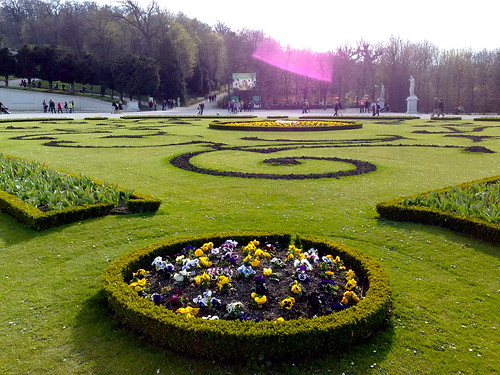 Blumenbeet im Schlossgarten Schönbrunn.