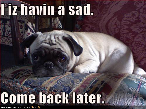 funny quotes about dogs. Click on the image below to get the URL funny-dog-pictures-pug-has-sad | Flickr - Photo Sharing middot; Gordon freeman: 25 funny quotes | Flickr - Photo Sharing!