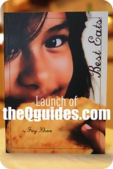 theQguides launch