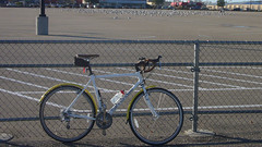 0911-new-bike-&-flock-of-se