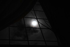 The Moon Window