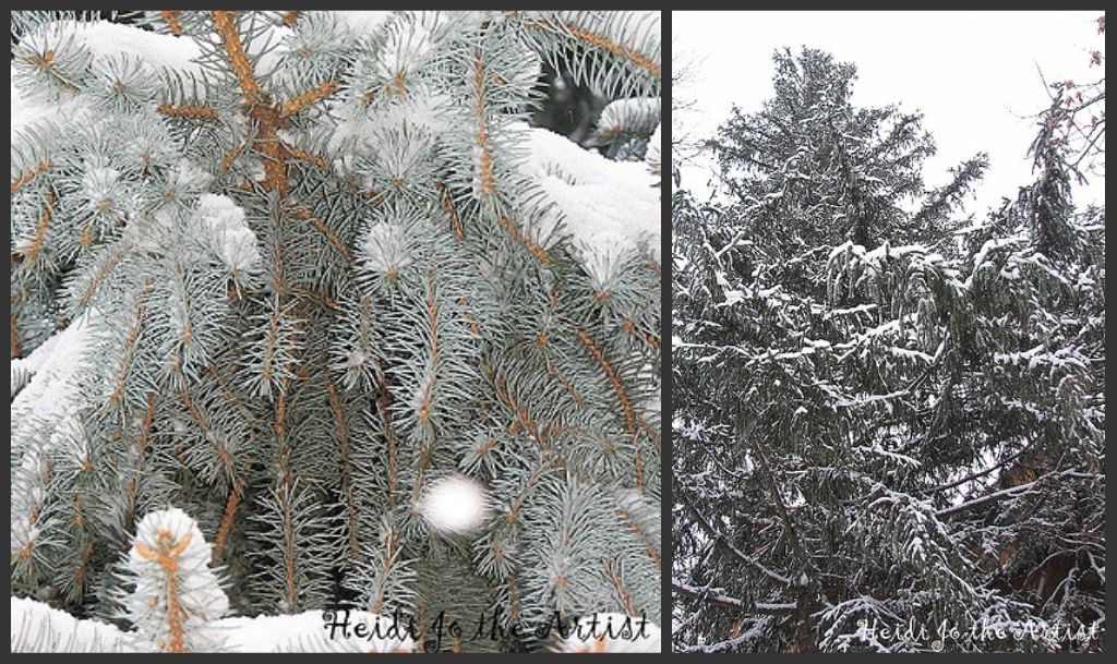 Pine Tree Collage