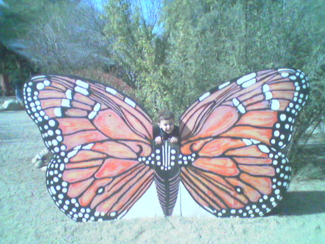 Butterfly Michael