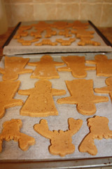Gingerbread Shapes (Photo by Frances Wright)