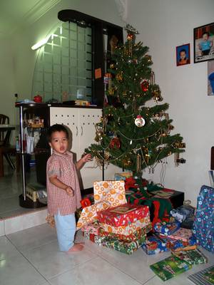 Julian and the Christmas tree