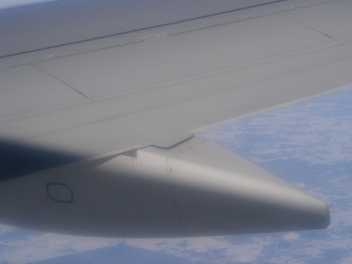 A Component of the wing