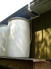 Rain Barrel System