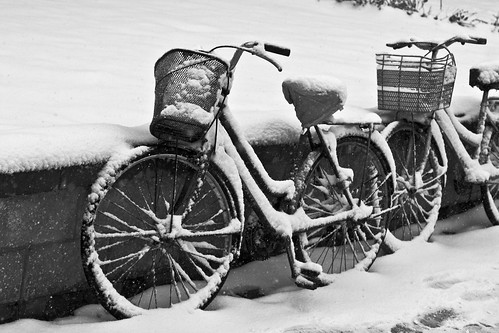 Cycle and Snow (by niklausberger)