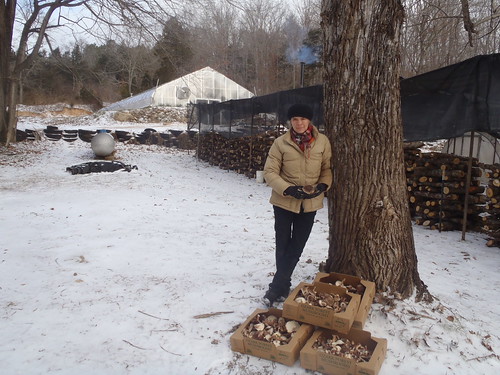 Nicola Macpherson, agroforester, with her mushrooms and a lot more on her Missouri forestry farm.