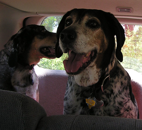 Ben & Maggie in car