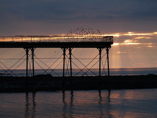 12076 - Starlings over Aberystwyth Pier