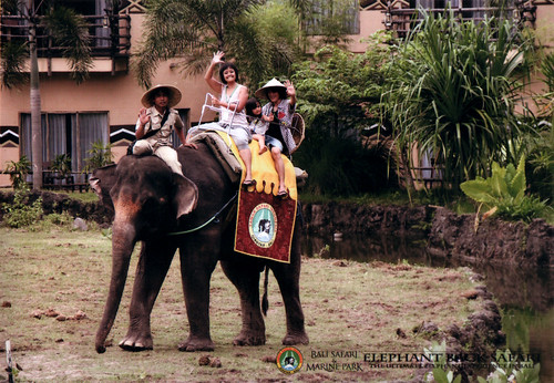 elephant ride @ the Bali Safari & Marine Park
