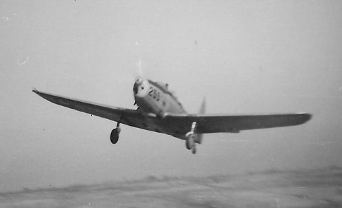 Warbird picture - PT-19