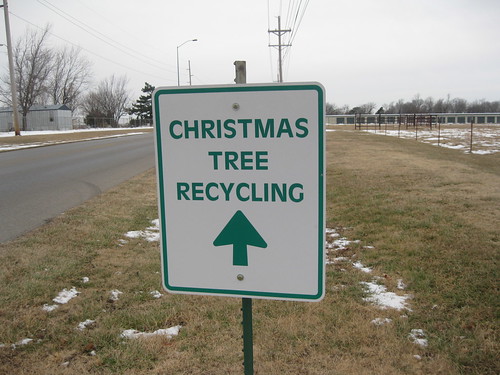 christmas tree recycling dropoff 3