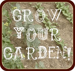 grow your garden: raised beds