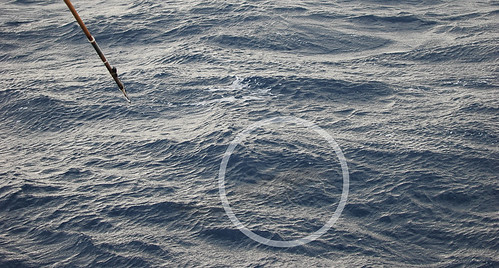 你拍攝的 5出海作業2010年02月03日.jpg。