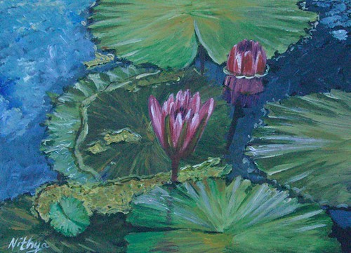 Waterlily #11