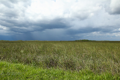 Everglades National Park, by photomyhobby