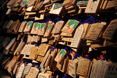 Tokyo 2009 - 箱根 - 箱根神社(10)