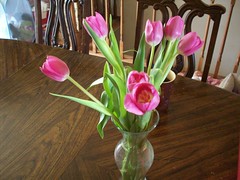 Birthday Tulips