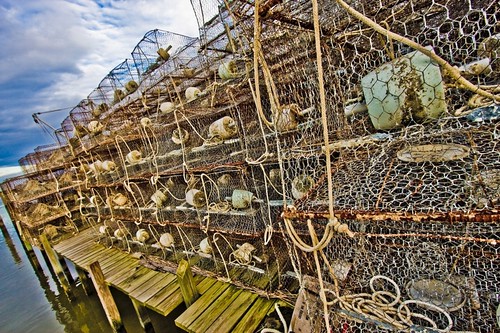 More crab pots. Youll see a lot of crab pots stacked up on Smith Island. Especially during the crabbing off-season.