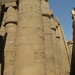 Temple of Karnak, Hypostyle Hall, work of Seti I (north side) and Ramesses II (south) (88) by Prof. Mortel