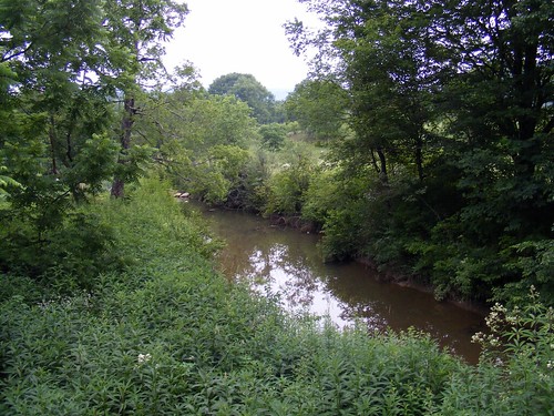 Creek behind Mag's