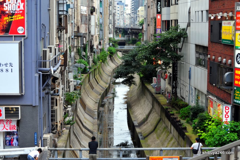 A strangely peaceful view in the big city. The Shibuya river that flows under the Tokyu Dept store