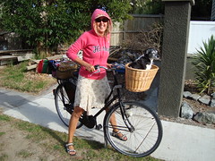 Dutch Dog Bike
