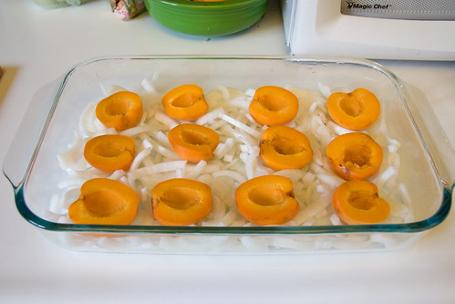A Bed of Apricots and Onions