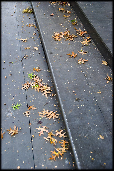 steps-leaves
