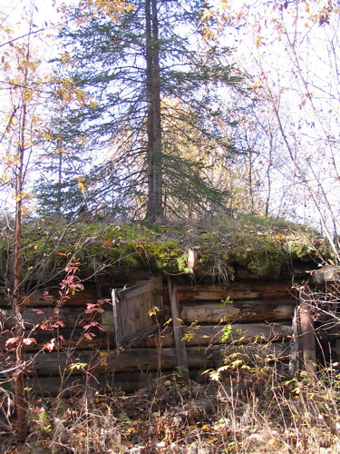Sawmill cabin