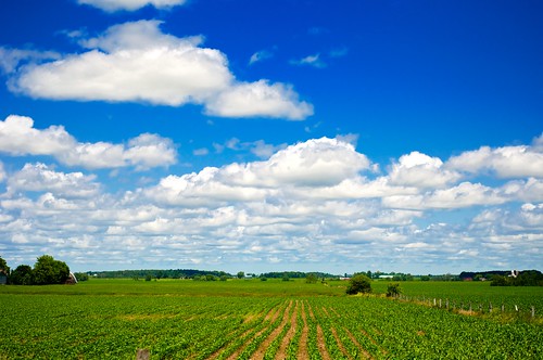 フリー画像|自然風景|空の風景|雲の風景|平原の風景|農地/農園|フリー素材|