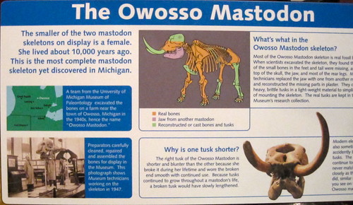 Michigan mastodon petroglyph photo