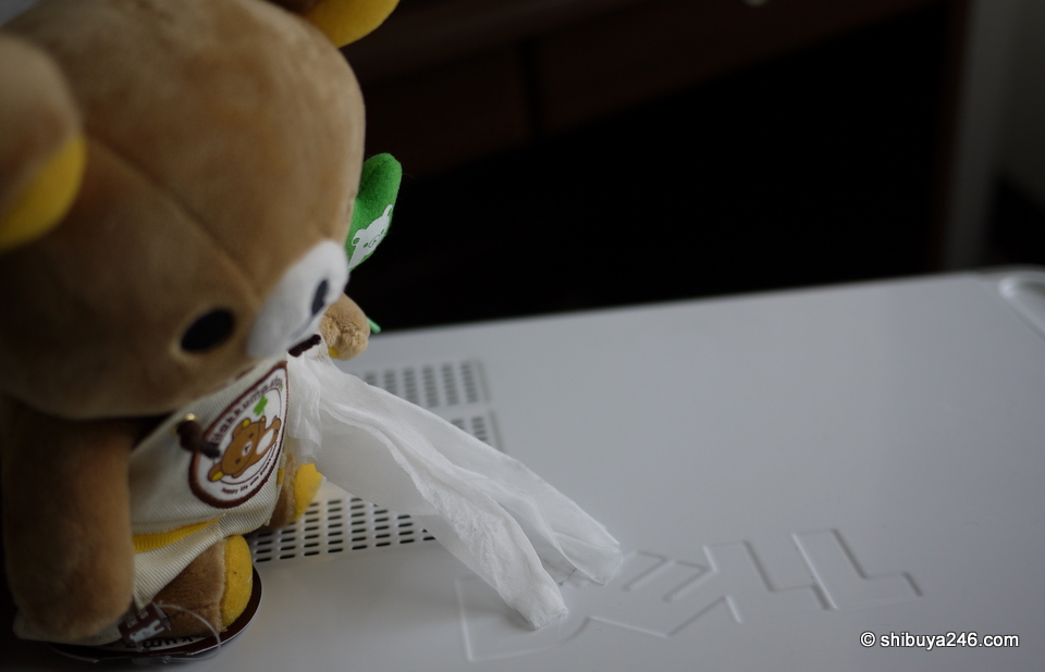 The final touch, as Rilakkuma wipes the dust of the DELL case.