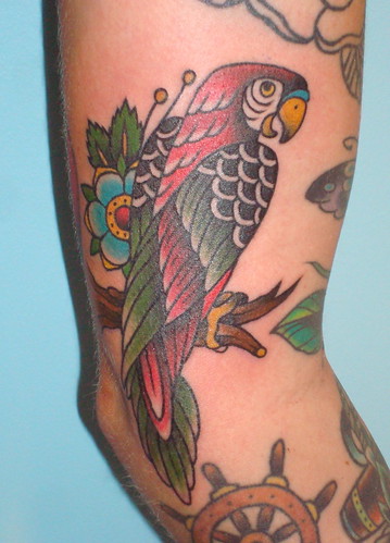 parrot. squid & whale tattoo