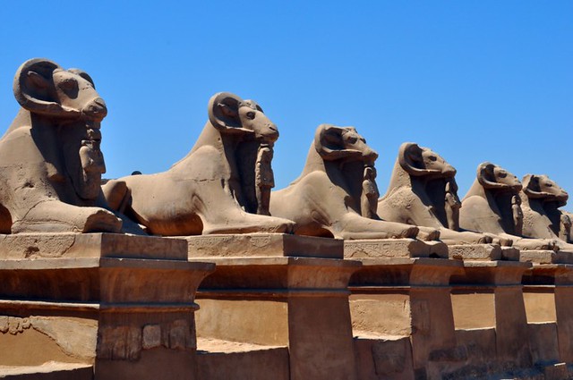 Research Center [httpwwwsharmexcursionsnet] by Egypt Tours and Excursions