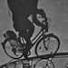 série sombras invertidas - bicicleta / Donau Insel - Wien Österreich