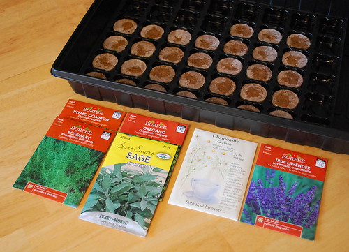 starting herbs indoors