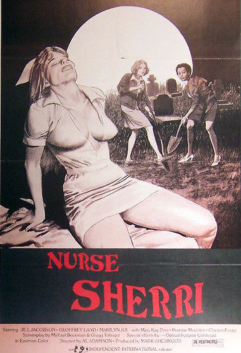 "Nurse Sherri" (1978) Theatrical Poster