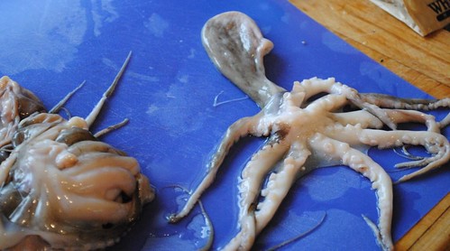 octopus pulpo greek potato salad