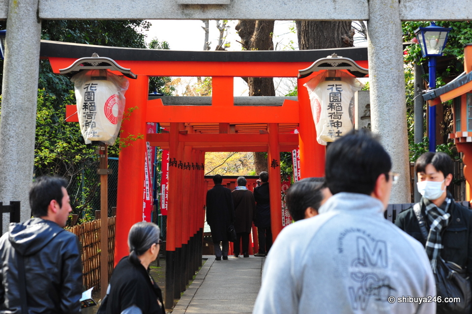 Local Shrine with some nice red color.