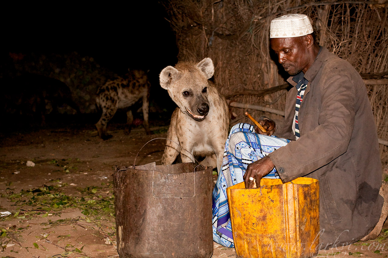 Hyena Feeding #2, Harar, Ethiopia, 2009