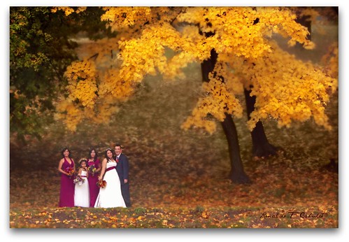 Autumn Wedding by Ronaldo F Cabuhat