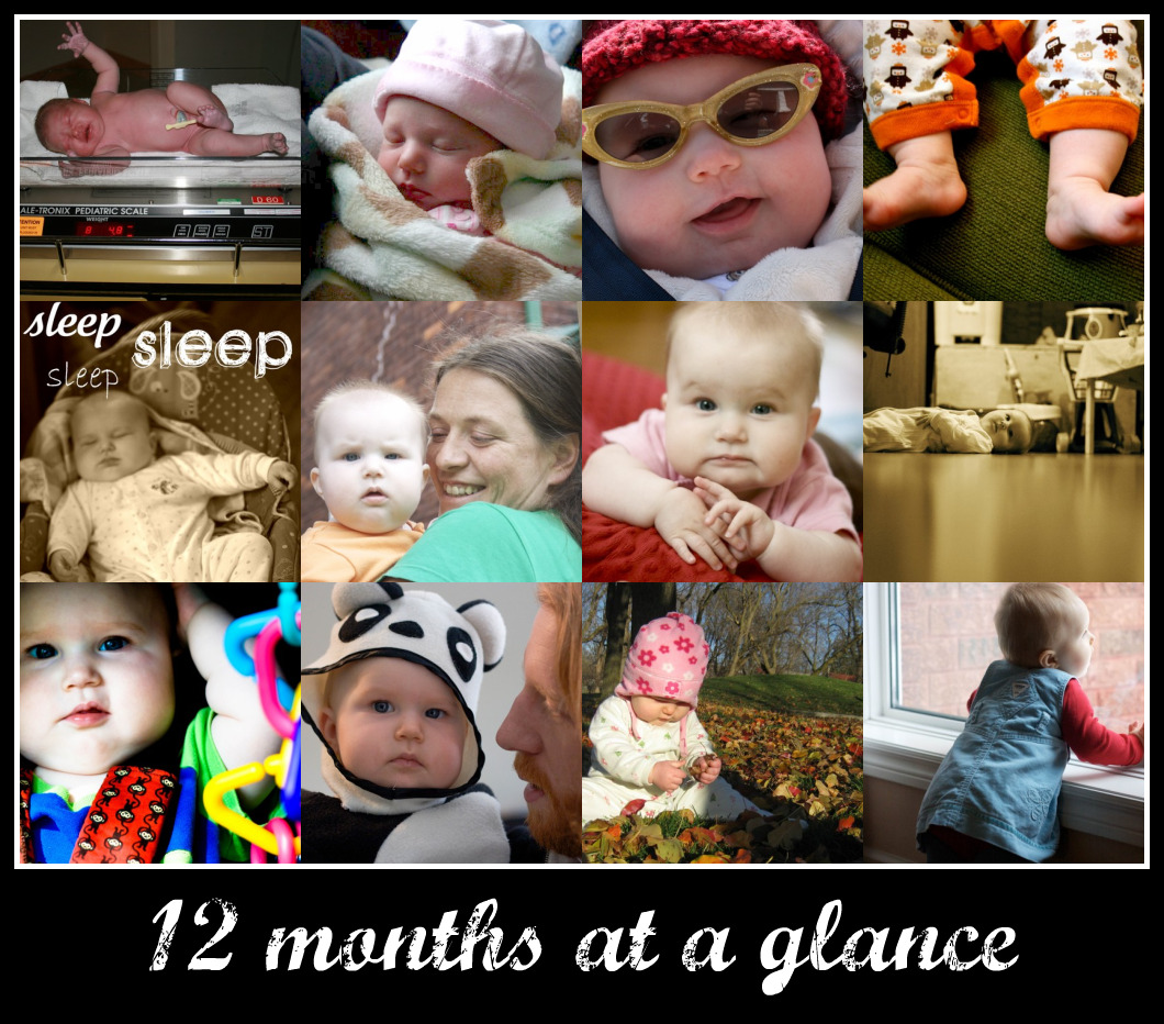 12 months at a glance