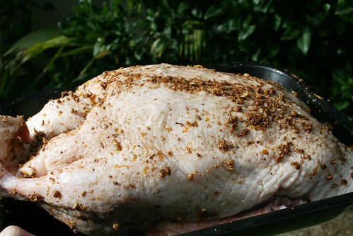 Rubbed duck