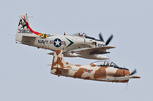 Warbird picture - A-1 Skyraider &amp; T-28 Trojan